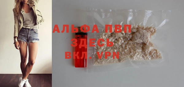 шишки Абинск